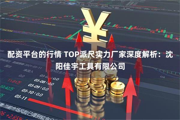配资平台的行情 TOP派尺实力厂家深度解析：沈阳佳宇工具有限公司