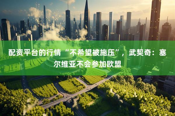 配资平台的行情 “不希望被施压”，武契奇：塞尔维亚不会参加欧盟