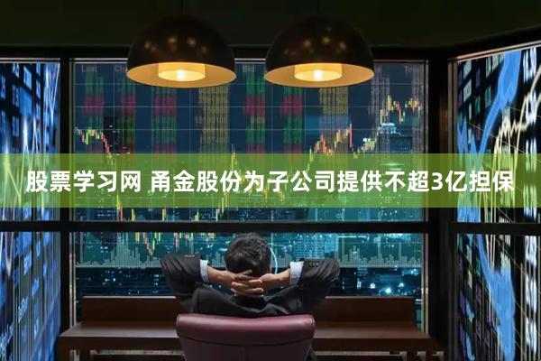 股票学习网 甬金股份为子公司提供不超3亿担保