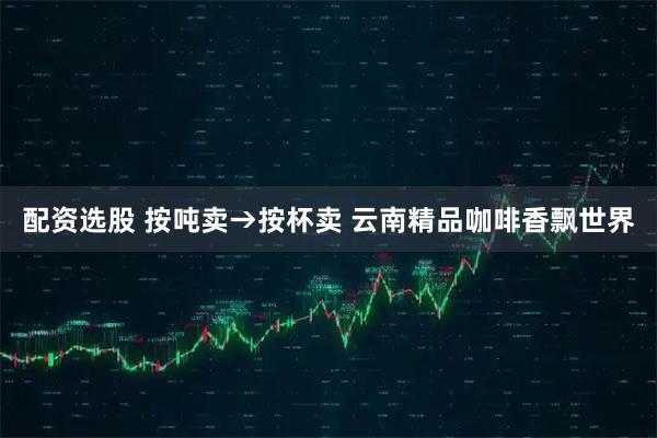 配资选股 按吨卖→按杯卖 云南精品咖啡香飘世界